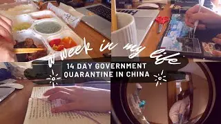 14 days mandatory quarantine vlog (Shanghai, China)