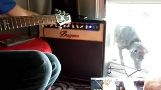 Test du Bugera V55
