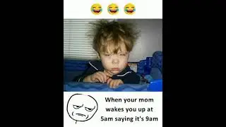 #memeadda#funny memes# daily meme# The Fact Tuber #shorts