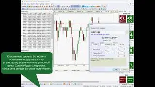 Особенности ордеров в торговой платформе NetTradeX | IFC Markets