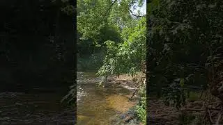 fishing at Burrells Ford