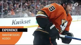 Experience Anaheim Ducks Hockey at Honda Center