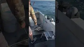 Victoria BC Halibut Fishing😎🐠🎣#fishing #royalbaycharters #halibut