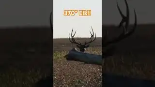 Giant elk hits the dirt! #elk #hunting