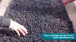 Grape Destemming Machine -- Fruit Wine Making Equipment