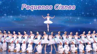 Pequenos Cisnes | Gala do Festival da Primavera 2024