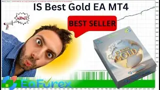 IS Best Gold EA MT4 Review + Setting | EA Forex Store