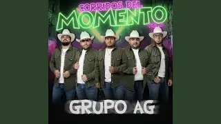 Sin Fin de Lucro (Cover)