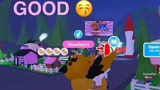 How to get rich in adopt me👁️👄👁️💀💀💀💀