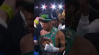 The highlights of D. Haney&rsquo;s last bout👊🏻🥊 #wbc #boxing