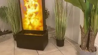Ella Doris Zlaty Zablesk