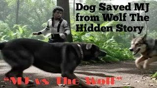 Michael Jackson Saved by His Dog from a Deadly Wolf Attack | Emotional Story
