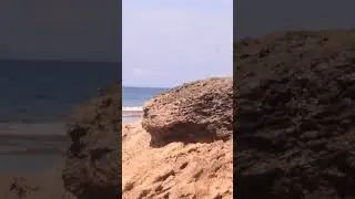 Lakshmanpura Beach, Neil Island , Andaman #youtubeshorts #shortvideo #beachesinindia