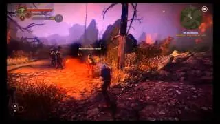 The Witcher 2 Gameplay Video #1 Combat overview
