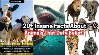 20+ Insane Facts About Animals That Defy Belief #subscribe, #psychologyfacts, #deepfacts, #wisdom
