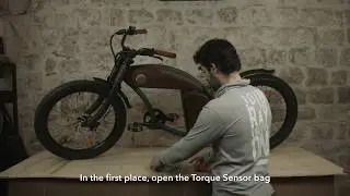 Rayvolt Bike - Torque Sensor installation