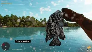 Far Cry 6 Catch more Biajaca w Scuba Sashimi meal.