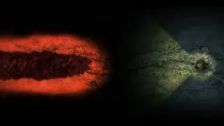 Surviving a night in Darkwood without a Hideout (No Protective Substance)