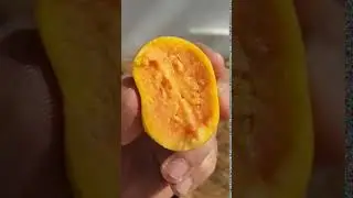 Orange Tropical Guava