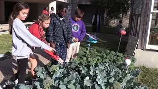 Воспитываем будущих фермеров вместе с Кендалл Рэй Джонсон 🌱