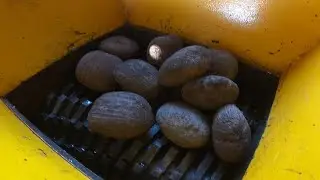 TOP 6 AMAZING VIDEO COMPILATION FAST SHREDDER MACHINE SHREDDING PALM NUTS, CRISPY PORK-SKIN, WOOD