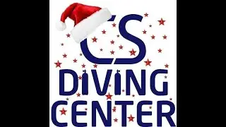Mergulho de Natal do CS DIVING CENTER em Vilagarc&iacute;a de Arousa