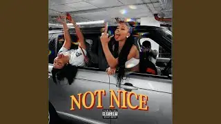 Not Nice