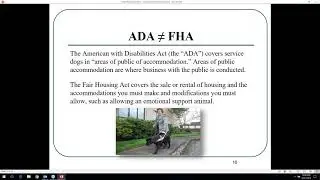 Property Management: What you need to know about assistance animals