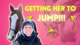 What to do When Your Horse Refuses a Jump! (Groundwork 101) | EP 6
