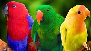 Beautiful Relaxing Music 🌿 Stop Overthinking, Stress Relief Music, Sleep Music, Calming Music 🌿