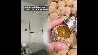 This is so funny, I couldn't stop laughing 😂😂 #funny #doddlersoftiktok #funnyvideos #duet