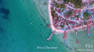 Welcome to Borneo Diving