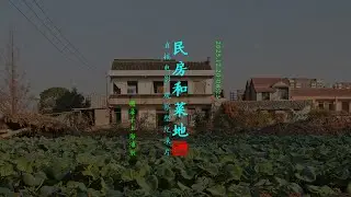Direct Cinema: Farmhouse and vegetable patch #directcinema #observationaldocumentary