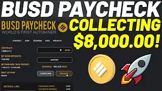 BUSD Paycheck **Prints Every Week** My Top Dapps At the Moment!! $8000 Collected !