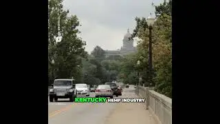 How Comer & McConnell Built Kentucky's Hemp Industry
