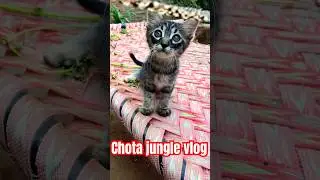 Chota jungle vlog