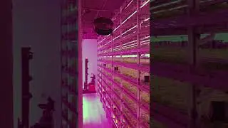 Urban Agriculture and Vertical Farming