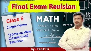 Data Handling, Pattern & Symmetry | Final Exam Revision | Math Class Hindi