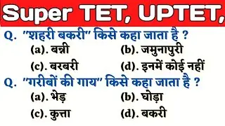 UPTET 2022 || Super TET EVS Important Questions || Super TET || UP LEKHPAL || SSC || RRB || UPPET