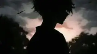   highlights 