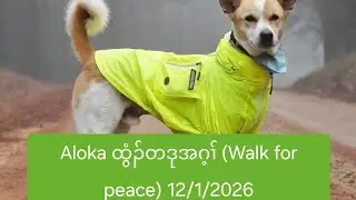 Aloka ထွံၣ်တဒုအဂ့ၢ် (Walk for peace) 12/1/2026