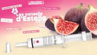 Consti Regul&trade; : le r&eacute;gulateur naturel de transit naturel