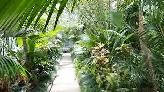 Grădina Botanică Cluj