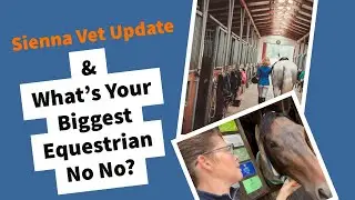 Sienna Vet Update & What&rsquo;s Your Biggest Equestrian No No