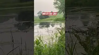 BIG TOPWATER BASS BLOWUP