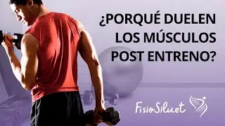 &iquest;Por Qu&eacute; Duelen los M&uacute;sculos Despu&eacute;s del Ejercicio?