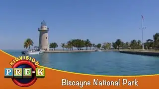 Biscayne National Park | Virtual Field Trip | KidVision Pre-K