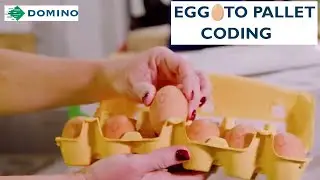 SRS Video Australia     Egg to Pallet Coding