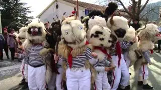 Mića zvončarska smotra - Rukavac 2015.