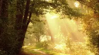 Рождение нового дня | The birth of a new day (relax music)